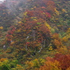 湯殿山　霧の中