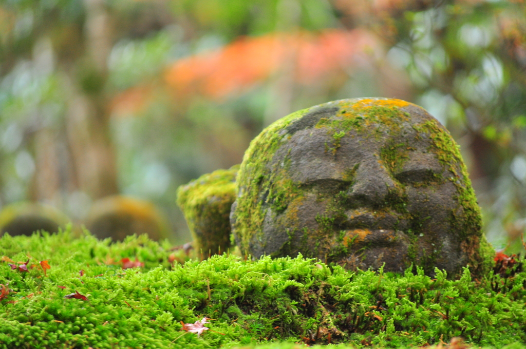 大原三千院　ほほえみ