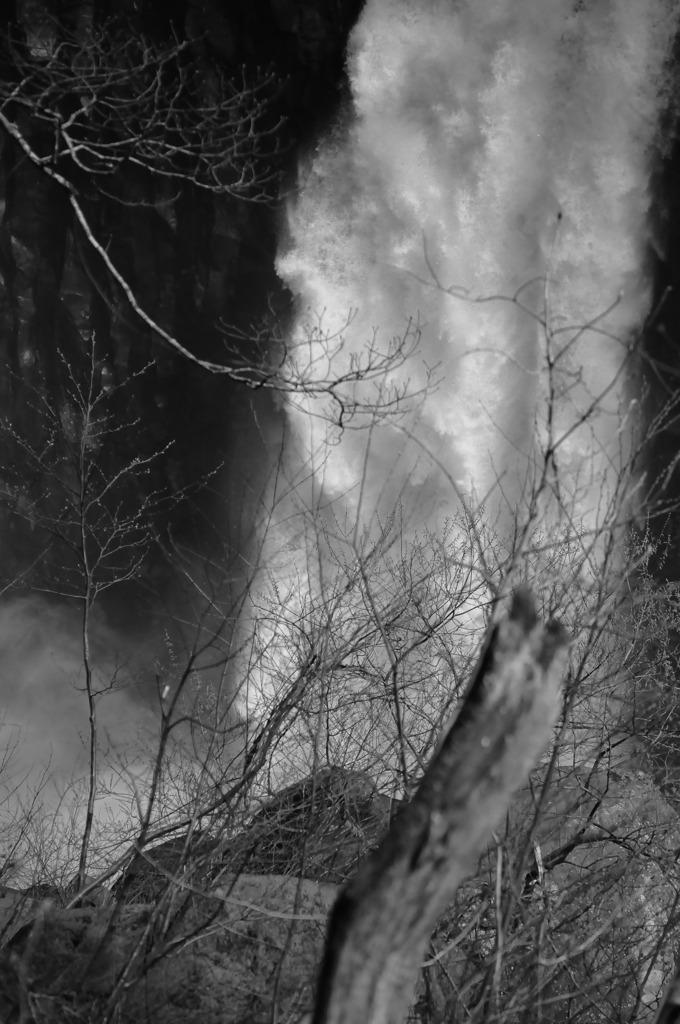 DSC_0399