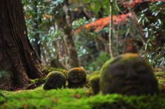 大原三千院　ほほえみ２