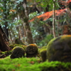 大原三千院　ほほえみ２