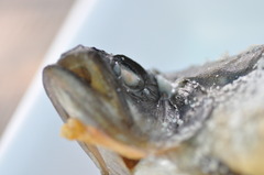 いい色に焼けてまっせ～