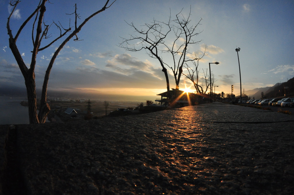 猫目線　～陽はまた昇る～