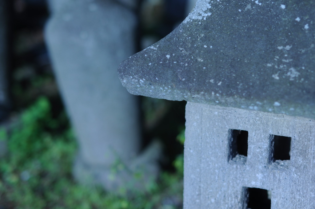 お社様のいる森