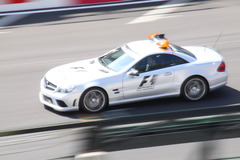 2009F1