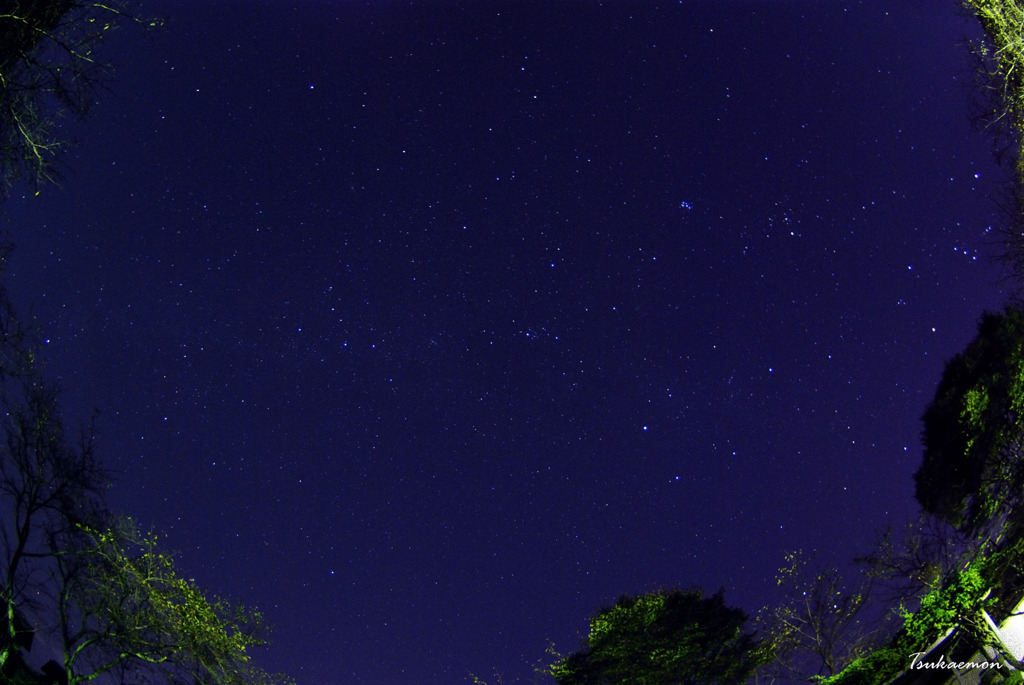 星空。、。・。