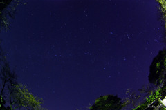 星空。、。・。