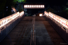 灯り