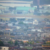 IMGP8598 
