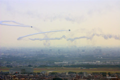 IMGP8574 