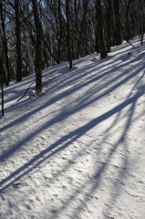 護摩壇山の雪景色