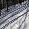 護摩壇山の雪景色