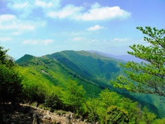 新緑の果無山脈縦走