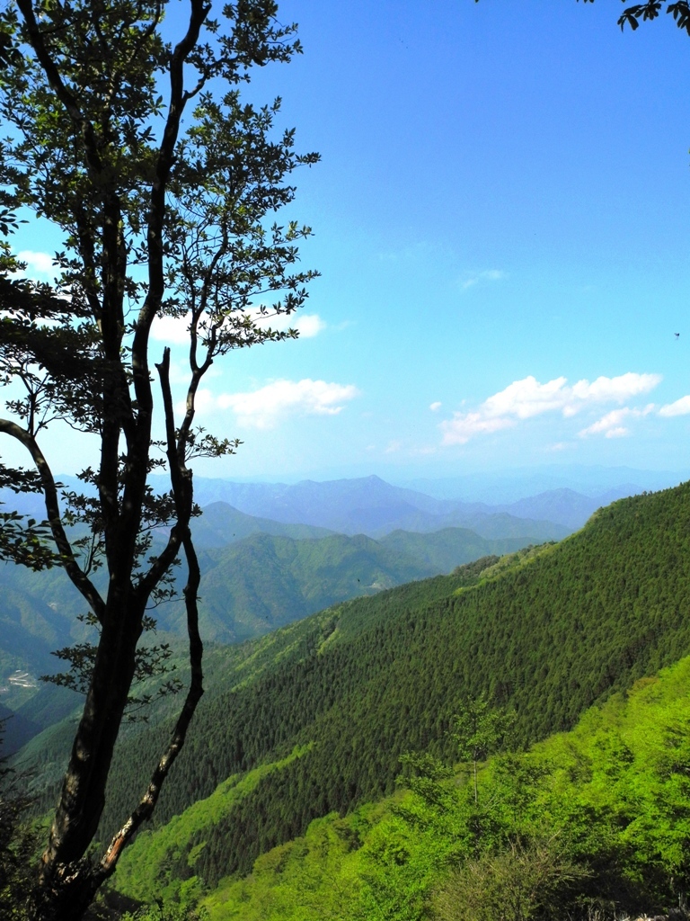 新緑の果無山脈縦走