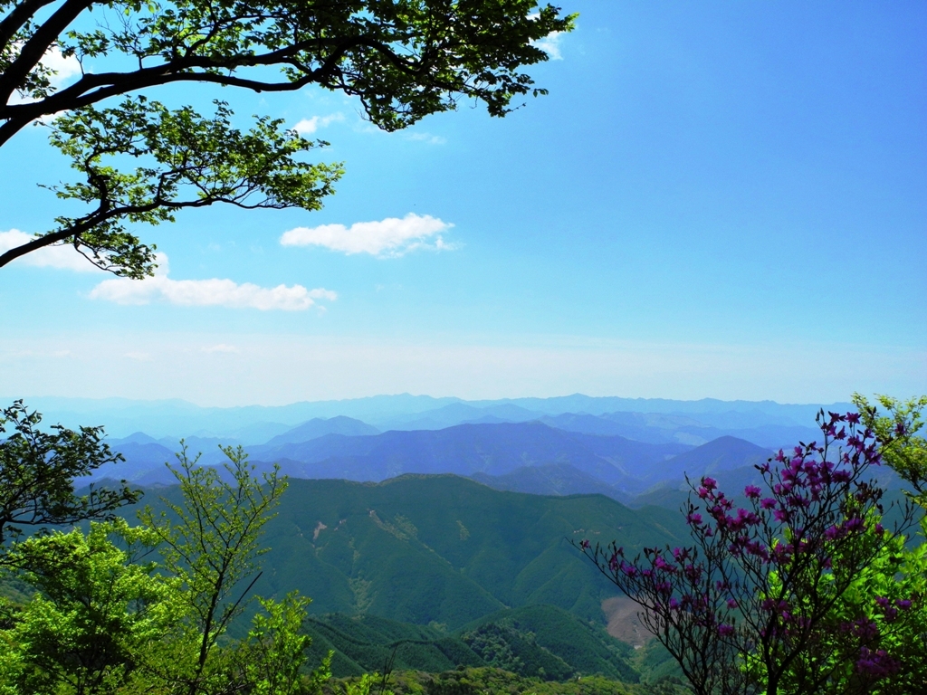 新緑の果無山脈縦走