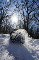 護摩壇山の雪遊び