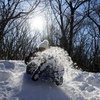 護摩壇山の雪遊び