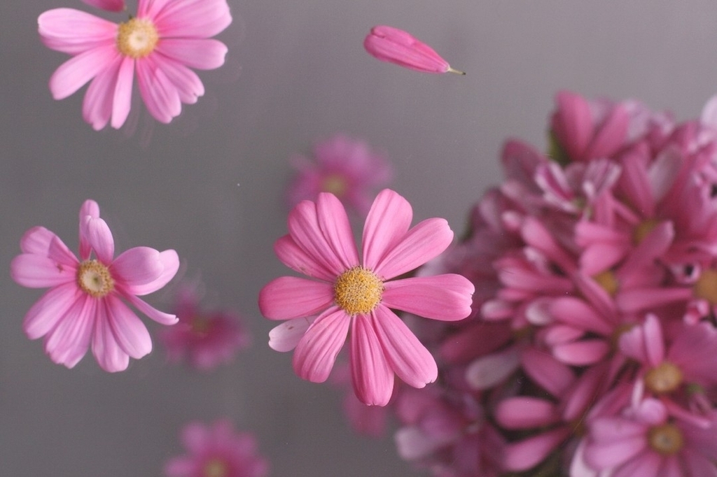 飛び出して・・・