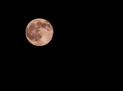 十五夜の赤い月