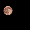 十五夜の赤い月