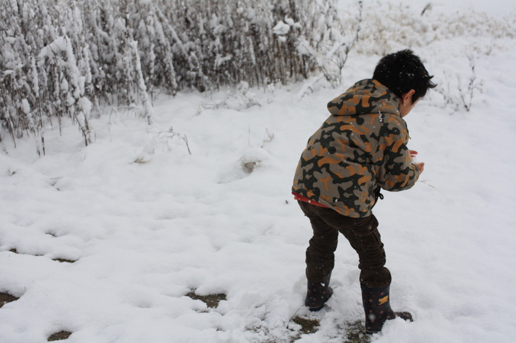 snowball　作成中！