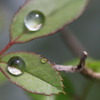 通り雨の後...