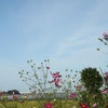 IMG_6273