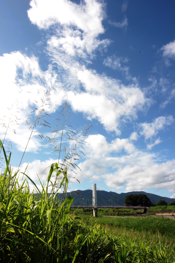 夏雲