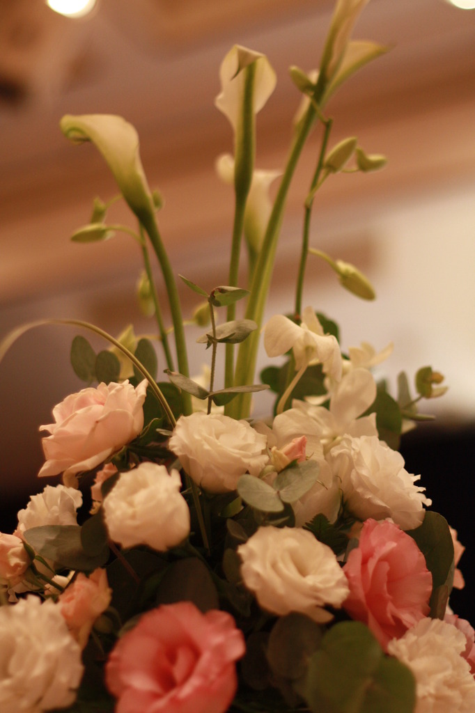 しあわせの花