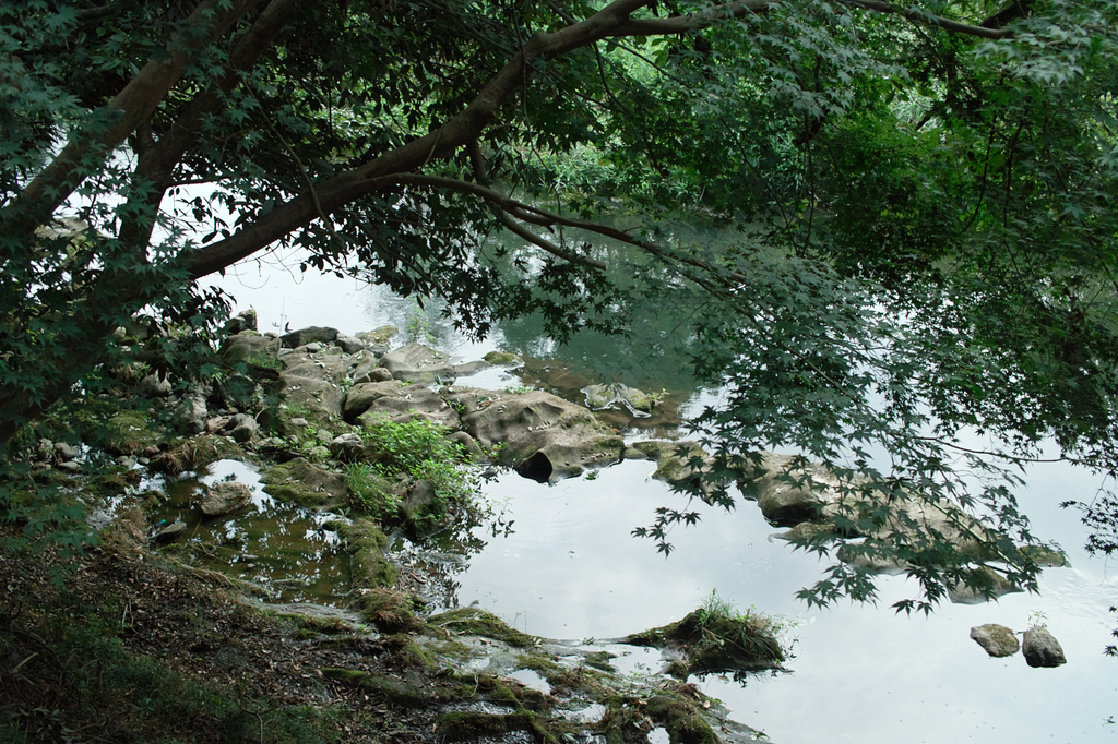 川　そのいち