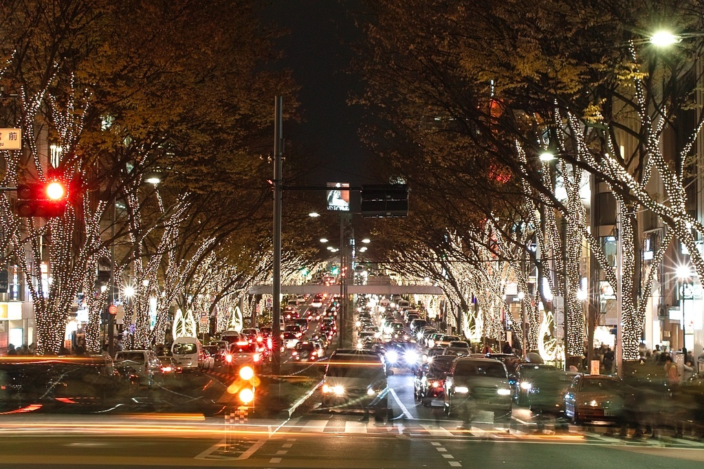 illuminated avenue