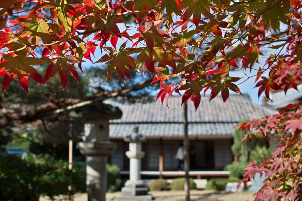 gradation