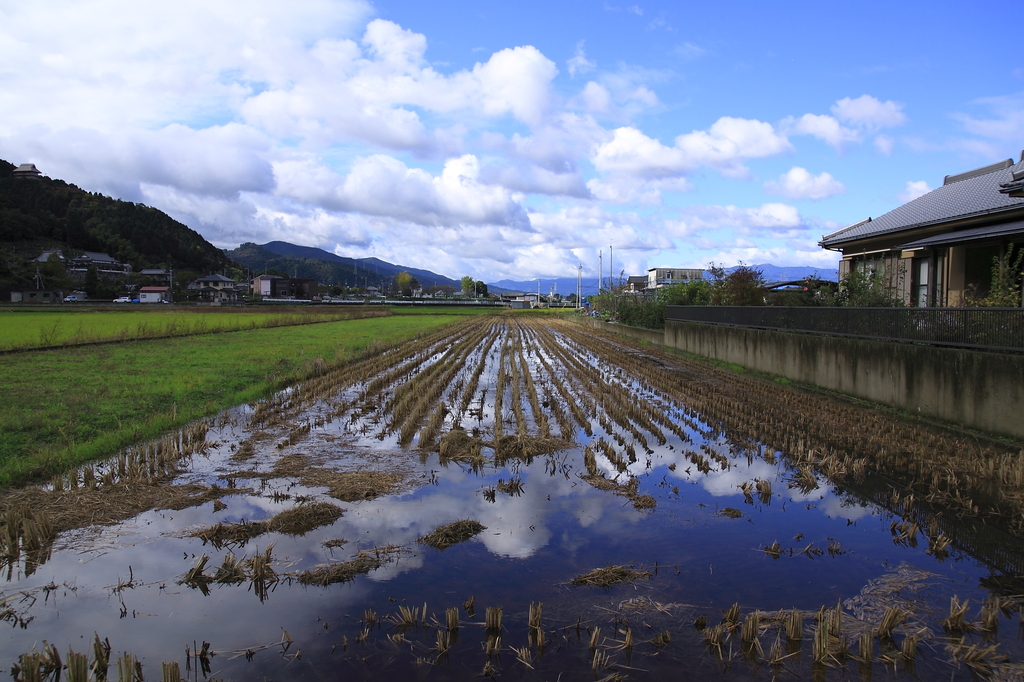 雨上がりの散歩道