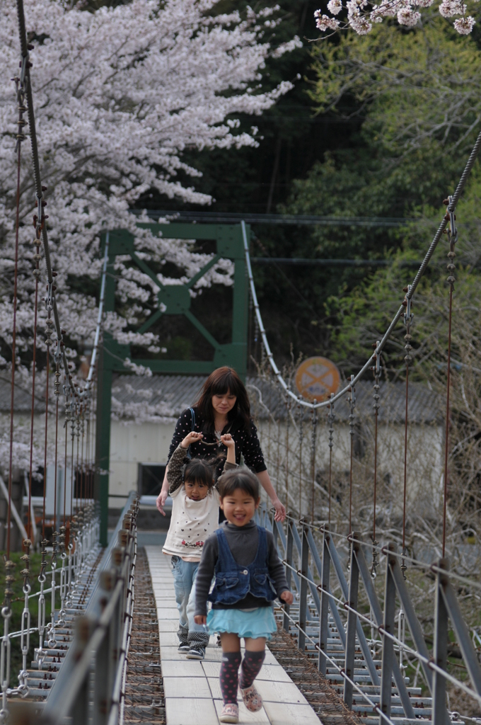 桜満開