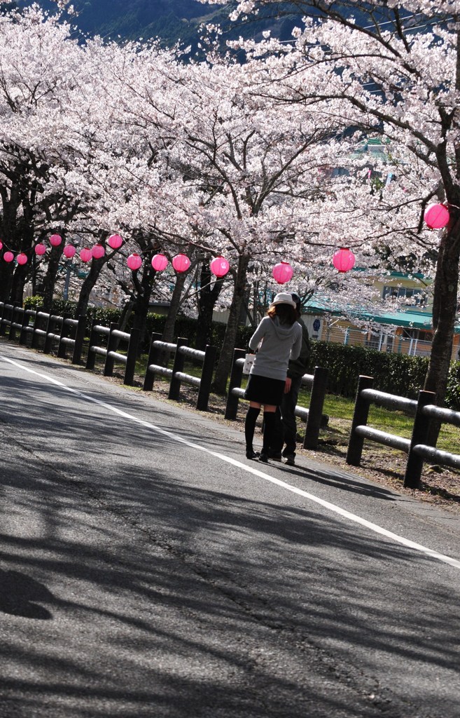 花見の二人