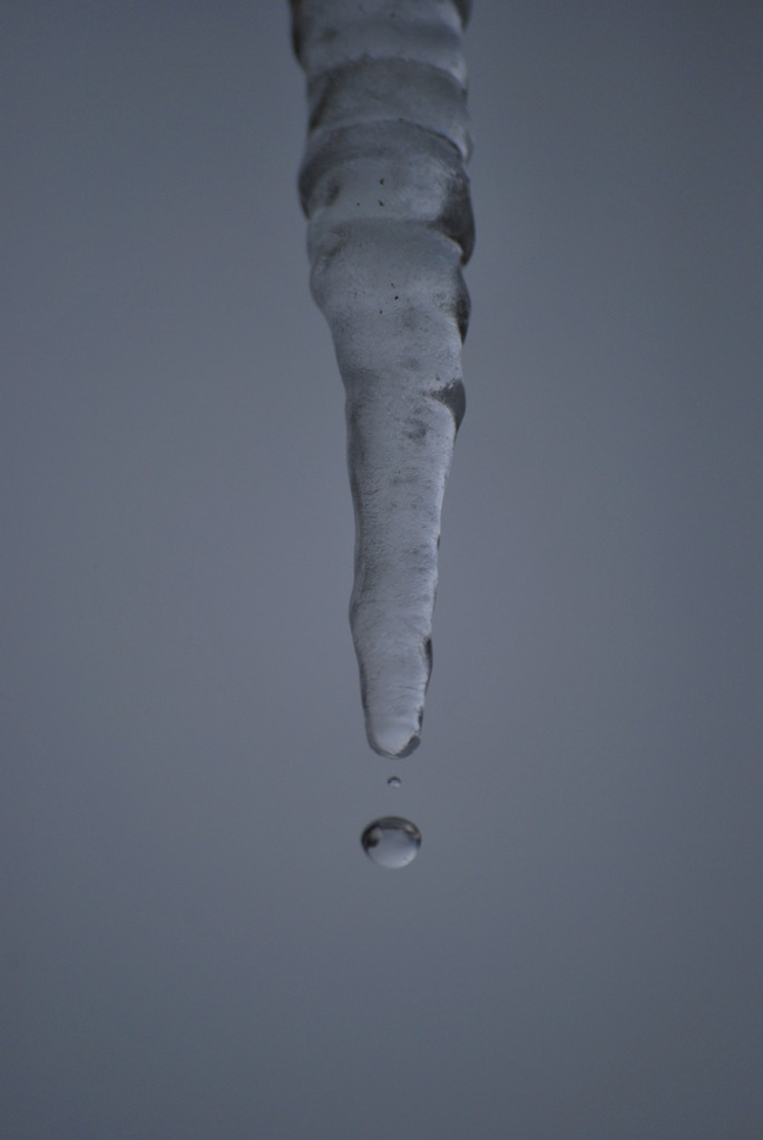 氷柱の雫