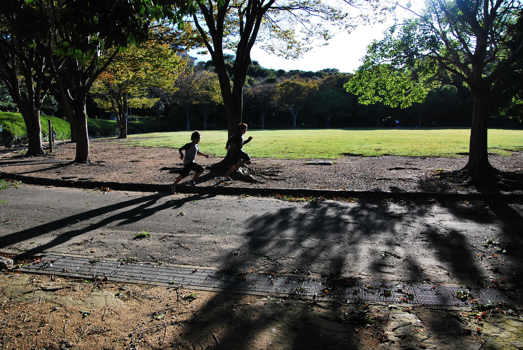 秋の公園