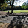 秋の公園