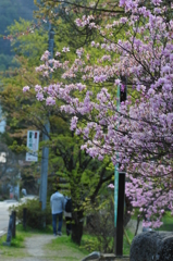 散歩道