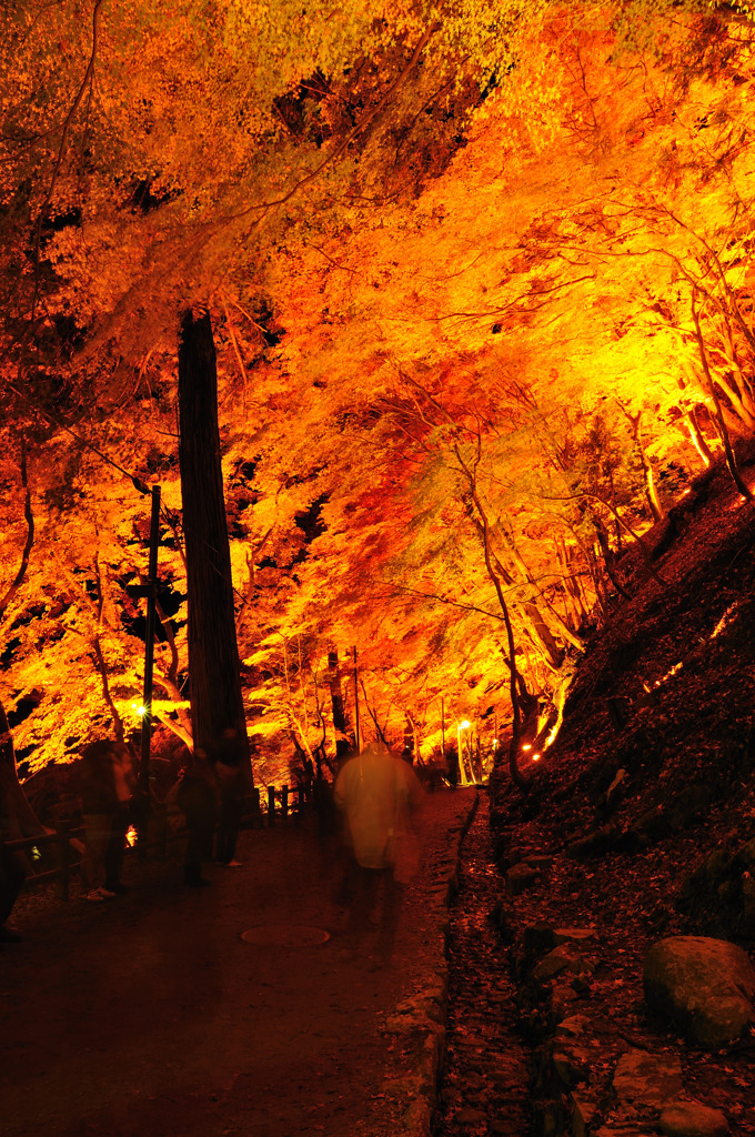 紅葉狩の人たち