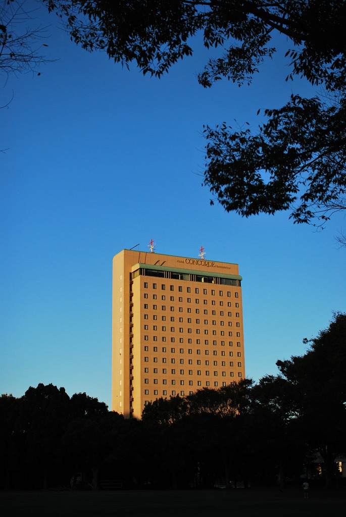 公園から見える風景