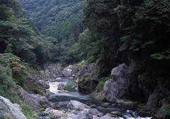 鳩ノ巣渓谷