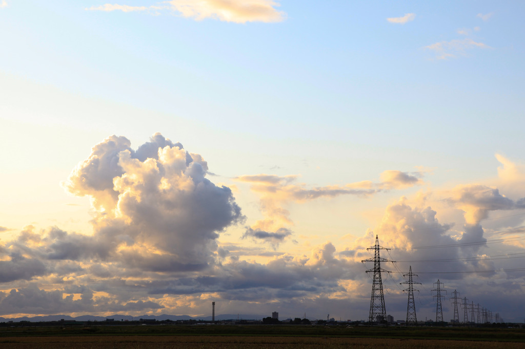 電線と夕空