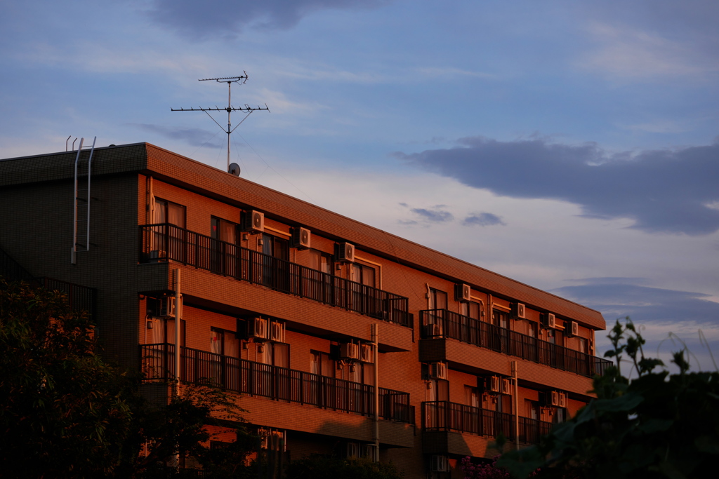 夕陽に染まる