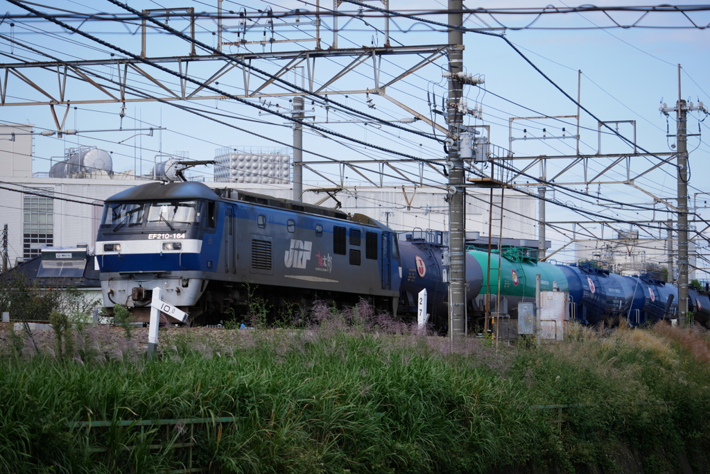 桃太郎とエネオス