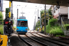三茶へ向かう青い電車