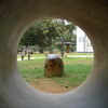 白金台の公園で