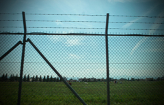 フェンスの向こう