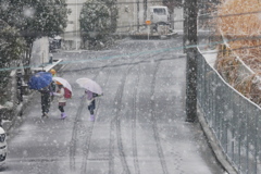 通学路に春の雪