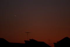 エンドウ豆の種を蒔いた日の夕空